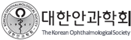 대한안과학회